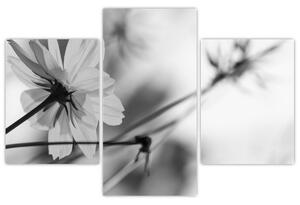 Tablou - Flori alb-negru (90x60 cm)