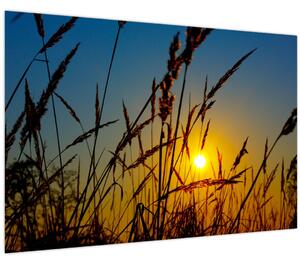 Tablou - Apus de soare pe pajiște (90x60 cm)