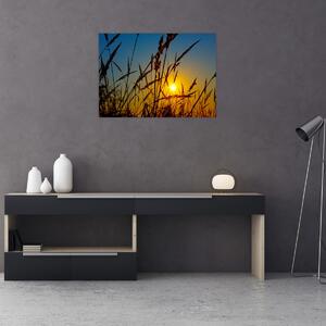 Tablou - Apus de soare pe pajiște (70x50 cm)