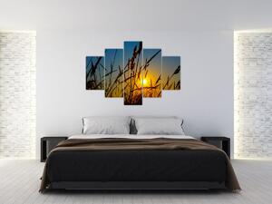 Tablou - Apus de soare pe pajiște (150x105 cm)