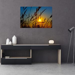 Tablou - Apus de soare pe pajiște (90x60 cm)