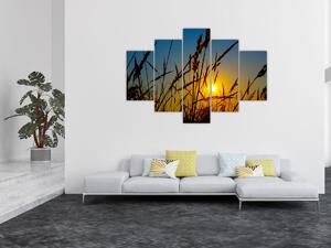 Tablou - Apus de soare pe pajiște (150x105 cm)