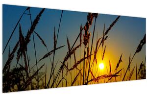 Tablou - Apus de soare pe pajiște (120x50 cm)