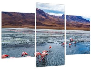 Tablou - Flamingo (90x60 cm)