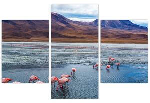 Tablou - Flamingo (90x60 cm)