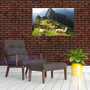 Tablou - Lame in Machu Picchu (90x60 cm)