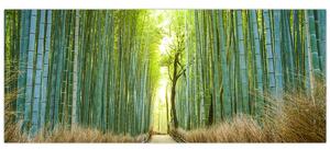Tablou - Strada cu bambuși (120x50 cm)