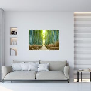 Tablou - Strada cu bambuși (90x60 cm)