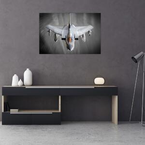 Tablou - Avion de vânătoare (90x60 cm)
