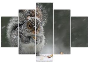 Tablou - Veveriță iarna (150x105 cm)