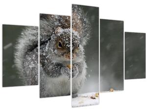 Tablou - Veveriță iarna (150x105 cm)