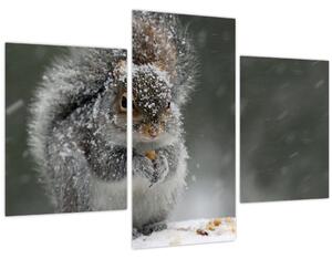 Tablou - Veveriță iarna (90x60 cm)