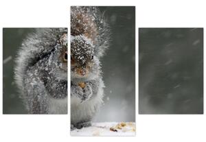 Tablou - Veveriță iarna (90x60 cm)