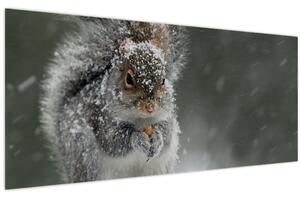 Tablou - Veveriță iarna (120x50 cm)