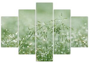 Tablou - Trandafir în iarbâ (150x105 cm)