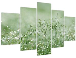 Tablou - Trandafir în iarbâ (150x105 cm)