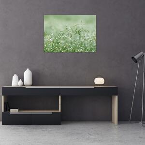Tablou - Trandafir în iarbâ (70x50 cm)