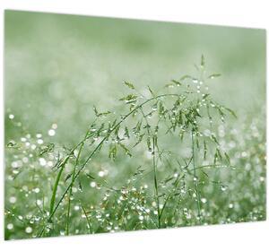 Tablou - Trandafir în iarbâ (70x50 cm)