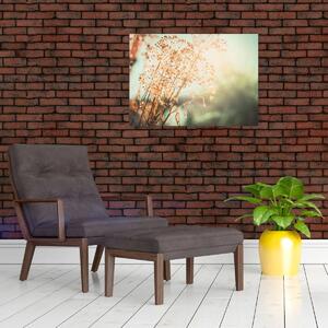 Tablou - Plante de luncă (70x50 cm)