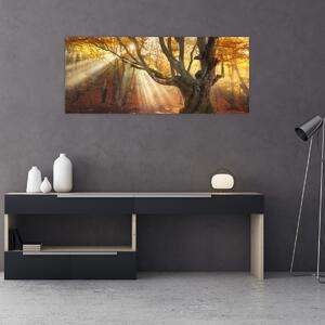 Tablou - Lumina de toamnă (120x50 cm)