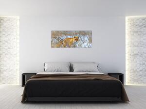 Tablou - Vulpe (120x50 cm)