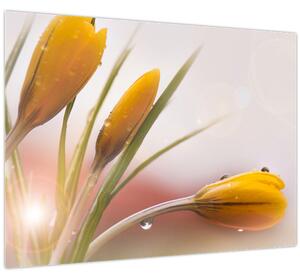 Tablou - Flori de primăvară (70x50 cm)