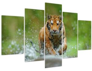 Tablou - Tigru care aleargă (150x105 cm)
