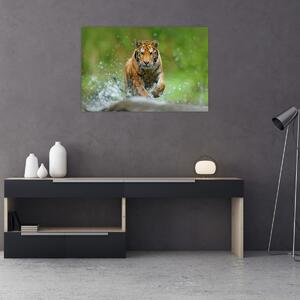 Tablou - Tigru care aleargă (90x60 cm)