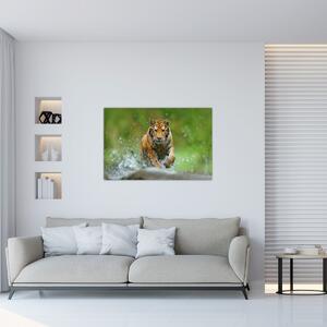 Tablou - Tigru care aleargă (90x60 cm)