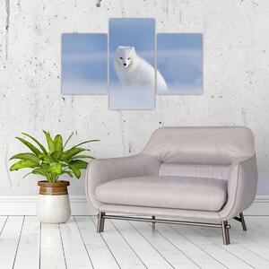 Tablou - Vulpe polară (90x60 cm)