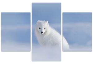 Tablou - Vulpe polară (90x60 cm)