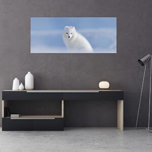 Tablou - Vulpe polară (120x50 cm)
