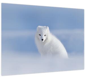 Tablou - Vulpe polară (70x50 cm)