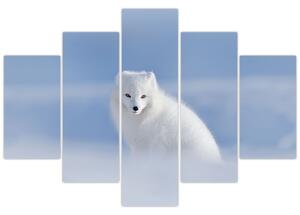 Tablou - Vulpe polară (150x105 cm)