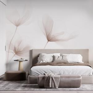 Tapet Flori bej aerisite într-un stil minimalist și luminos, Fototapet Flori, w09734 : Uwalls.ro