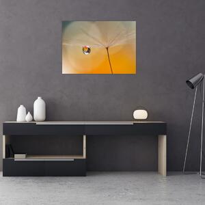 Tablou - Flori macro (70x50 cm)
