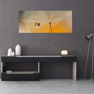 Tablou - Flori macro (120x50 cm)