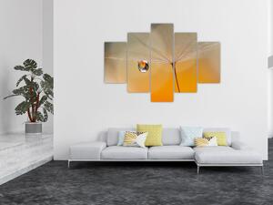 Tablou - Flori macro (150x105 cm)