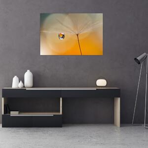 Tablou - Flori macro (90x60 cm)