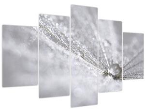 Tablou - Picătură de apă (150x105 cm)