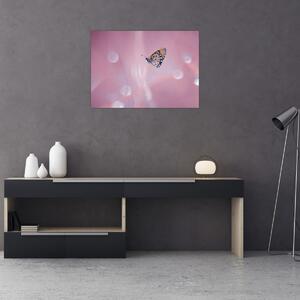 Tablou - Fluture (70x50 cm)
