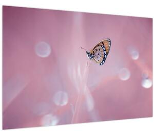 Tablou - Fluture (90x60 cm)
