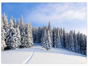 Tablou - Iarna in pădure (70x50 cm)