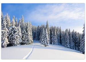 Tablou - Iarna in pădure (90x60 cm)