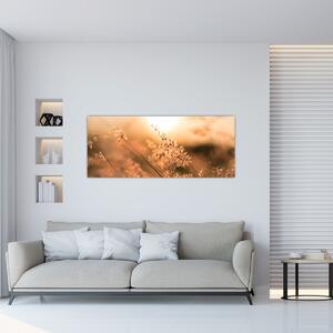 Tablou - Iarbă la soare (120x50 cm)