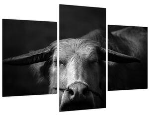 Tablou - Vacă (90x60 cm)