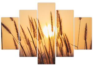 Tablou - Iarbă la soare (150x105 cm)
