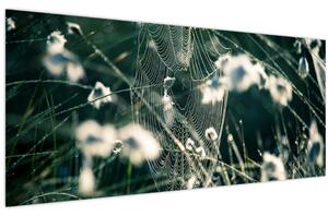 Tablou - Pânză de păianjen (120x50 cm)
