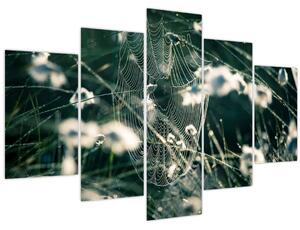 Tablou - Pânză de păianjen (150x105 cm)