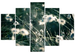 Tablou - Pânză de păianjen (150x105 cm)